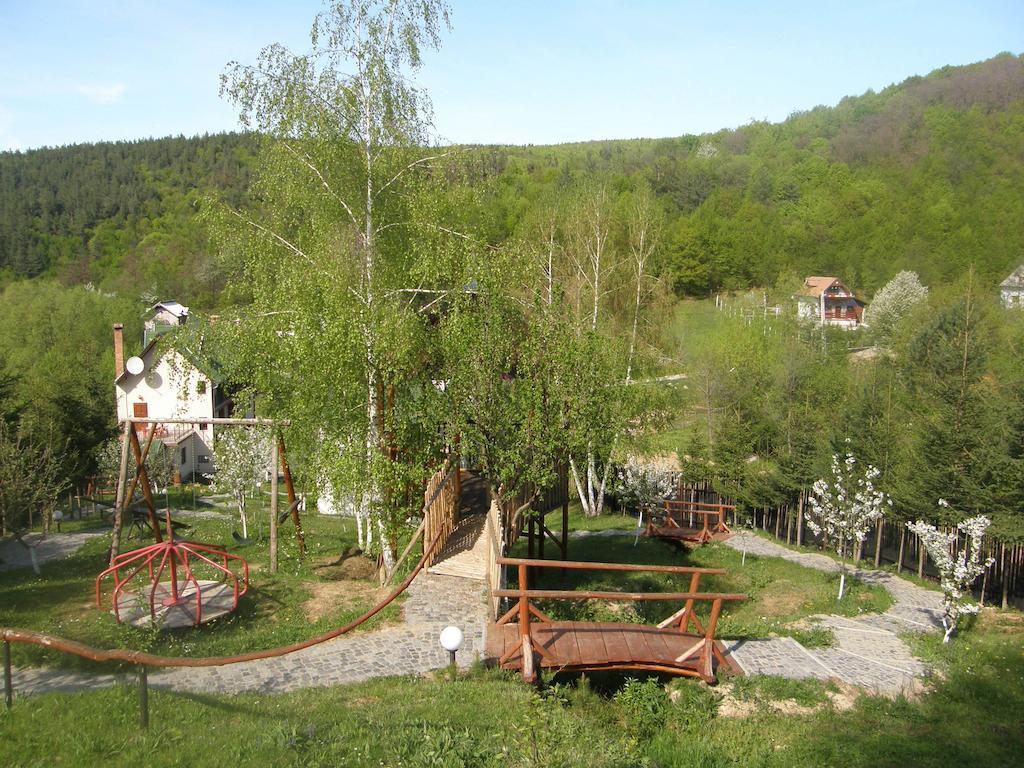 Bed and Breakfast Mokus Panzio Bicfălău Exteriér fotografie