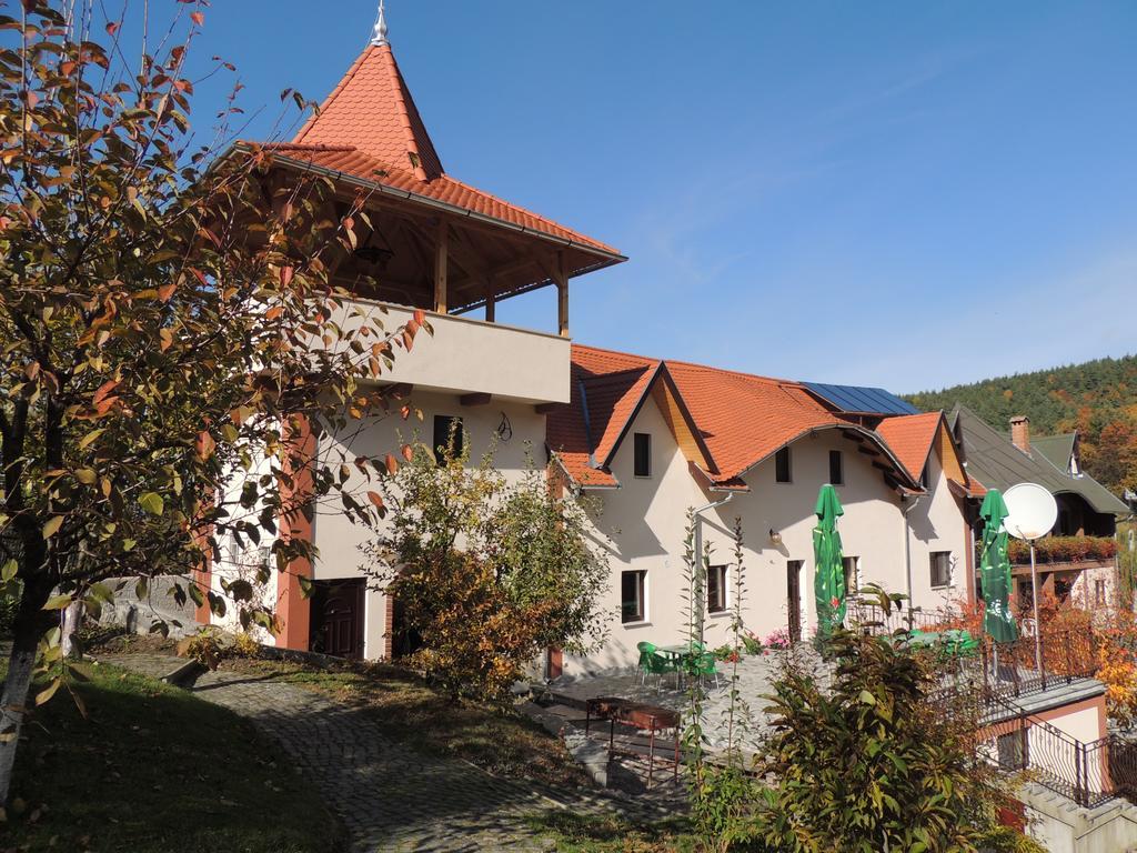 Bed and Breakfast Mokus Panzio Bicfălău Exteriér fotografie